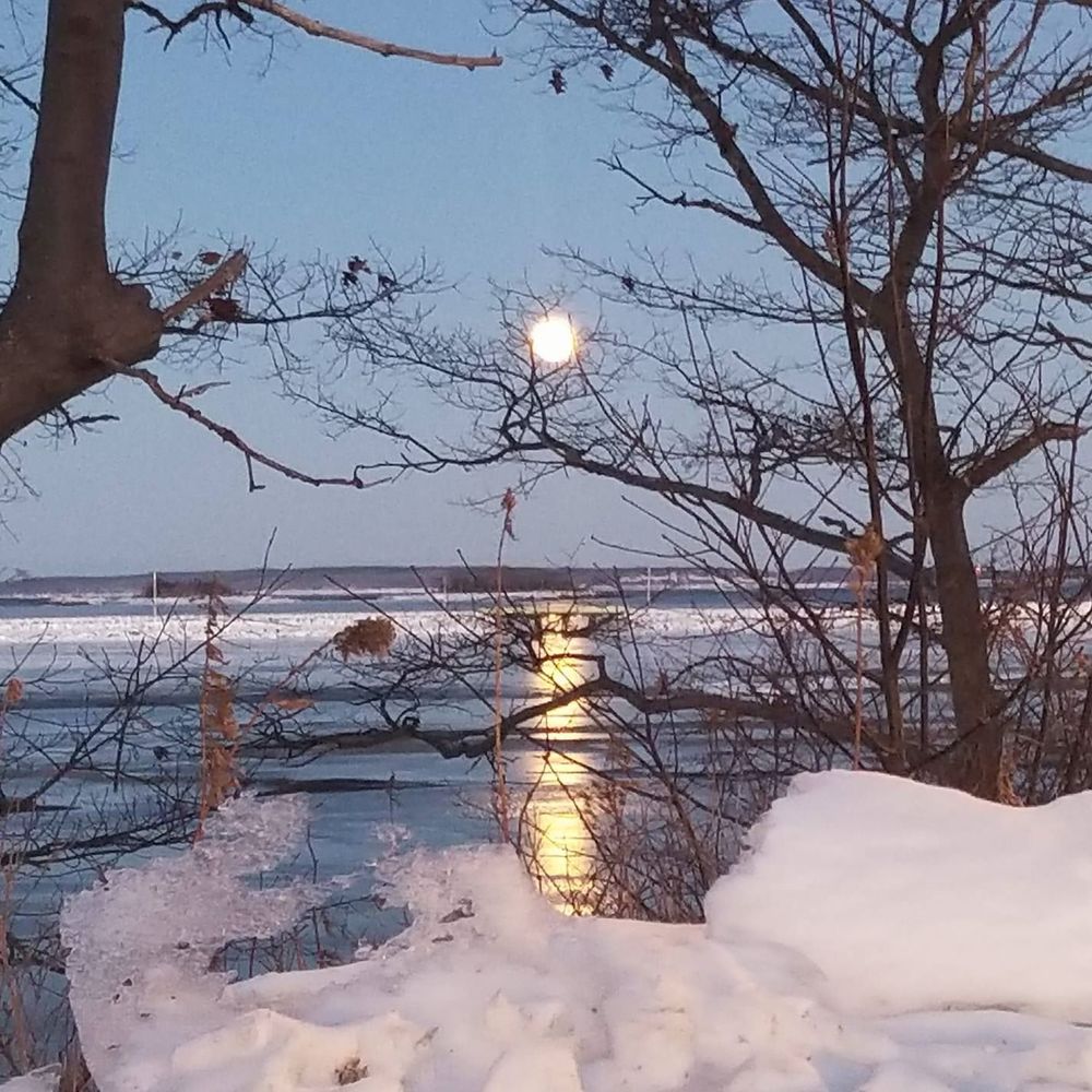 Meet your Posher, Sue